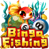 Bingo Fishing jl16 fishing